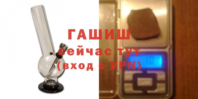 марихуана Белокуриха