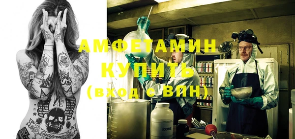 прущий лед Новозыбков