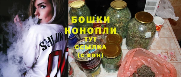 прущий лед Новозыбков