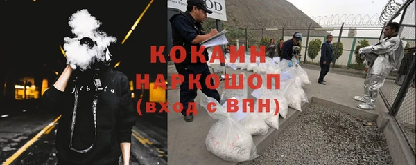прущий лед Новозыбков
