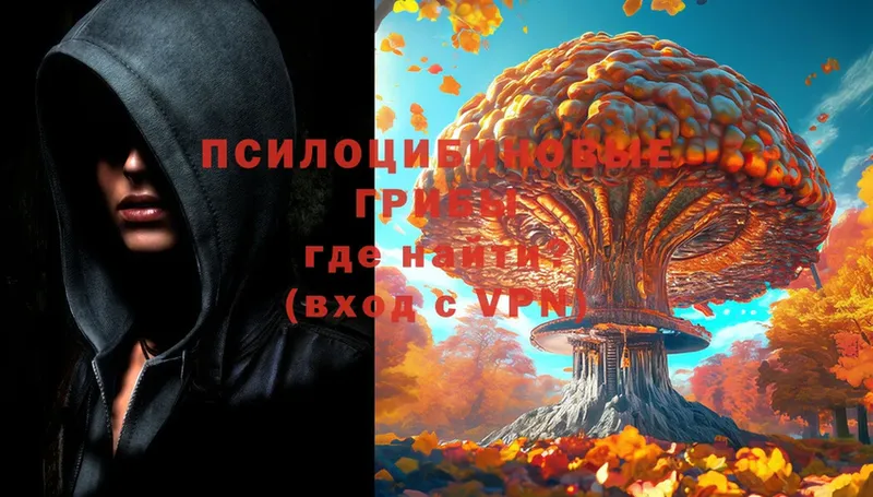 Галлюциногенные грибы Psilocybe  Бикин 