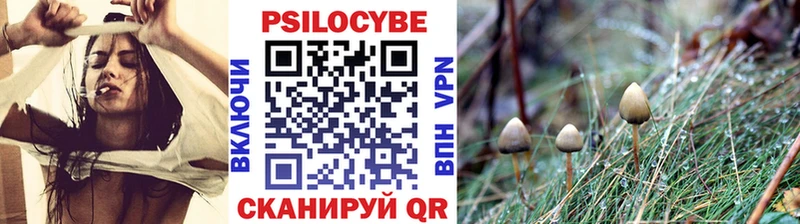 Галлюциногенные грибы мухоморы  ссылка на мегу как войти  Бикин  купить  